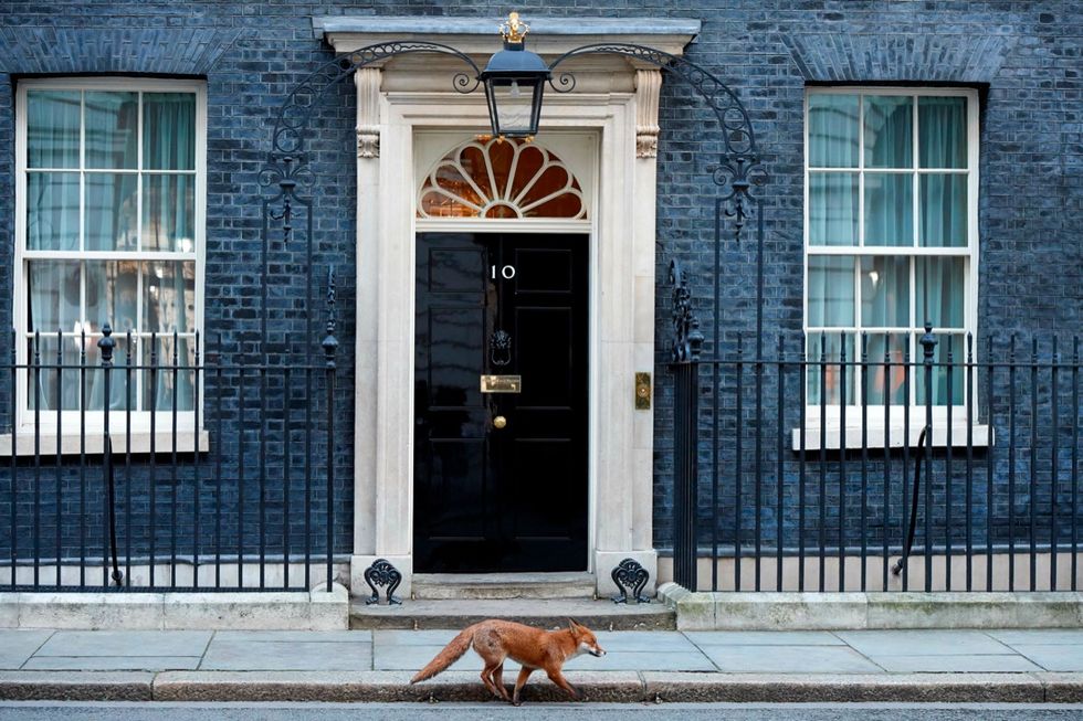 10 downing street volpe