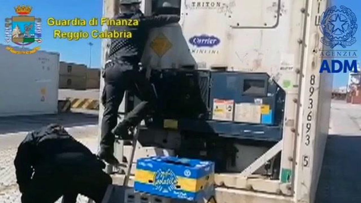 Sequestro record in Italia di cocaina al porto di Gioia Tauro | video