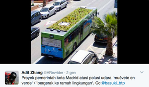 A Madrid giardini pensili sul bus contro lo smog