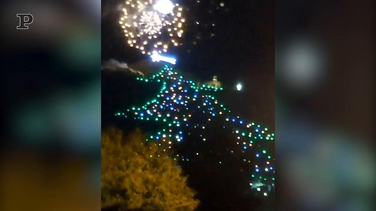 Gubbio, acceso l'albero di Natale più grande al mondo | video