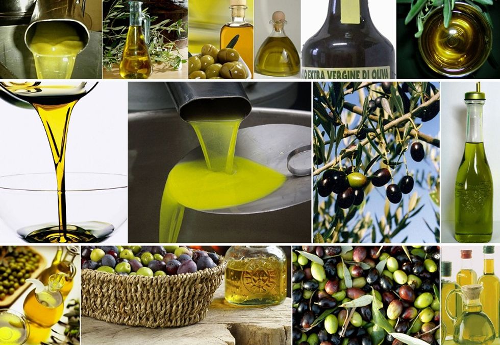 Investigating on Italian olive oil obsession in China