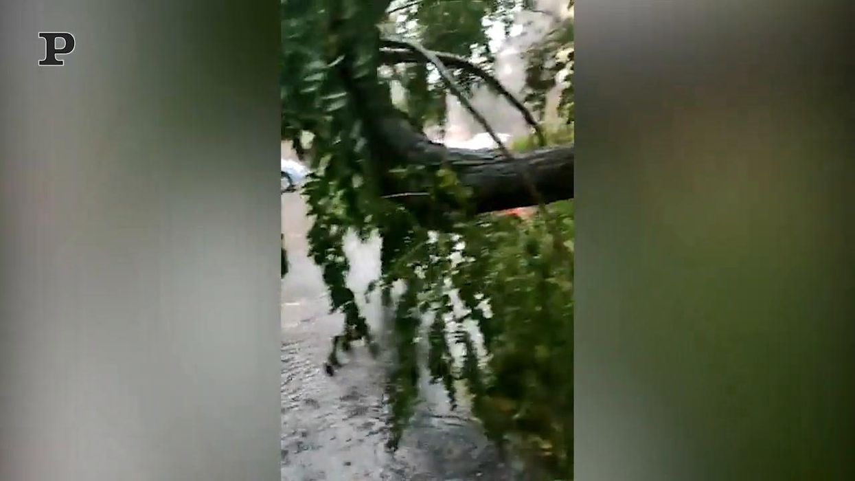 Allerta maltempo a Caserta: allagamenti ed alberi crollati | video