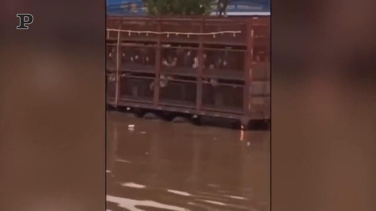 Alluvione in Cina, 120mila persone evacuate | video