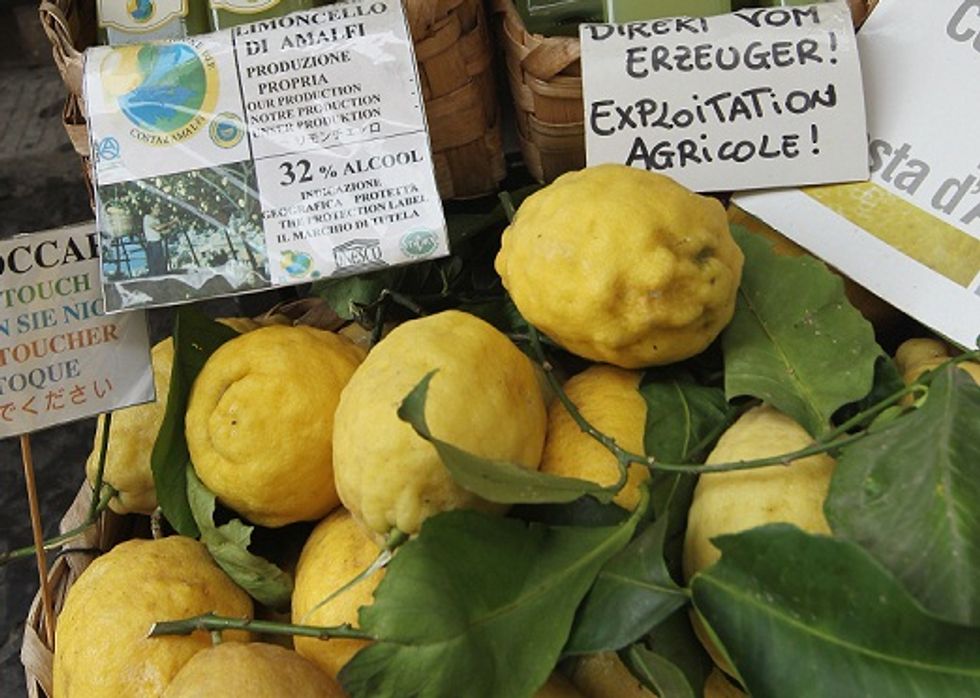 Italian lemons must plan for uncertain future