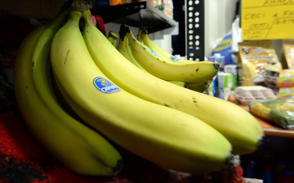 Chiquita: perché una banana su cinque nel mondo avrà il bollino blu