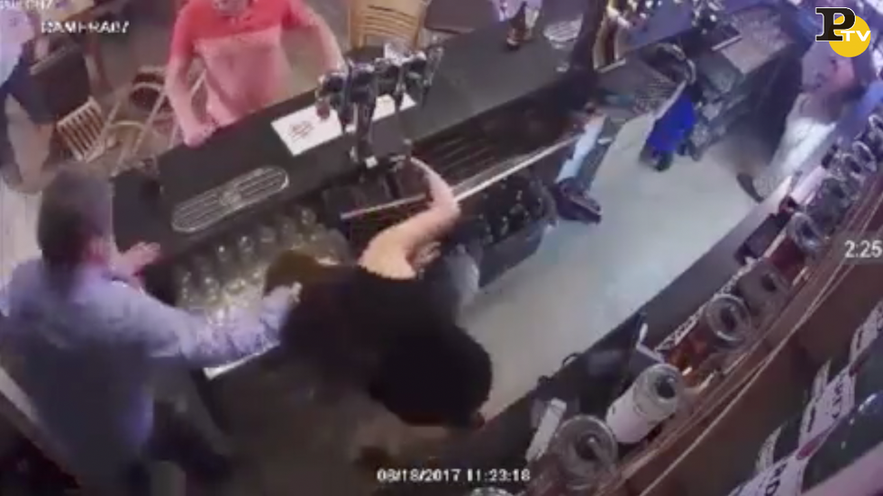 barista picchia moglie londra