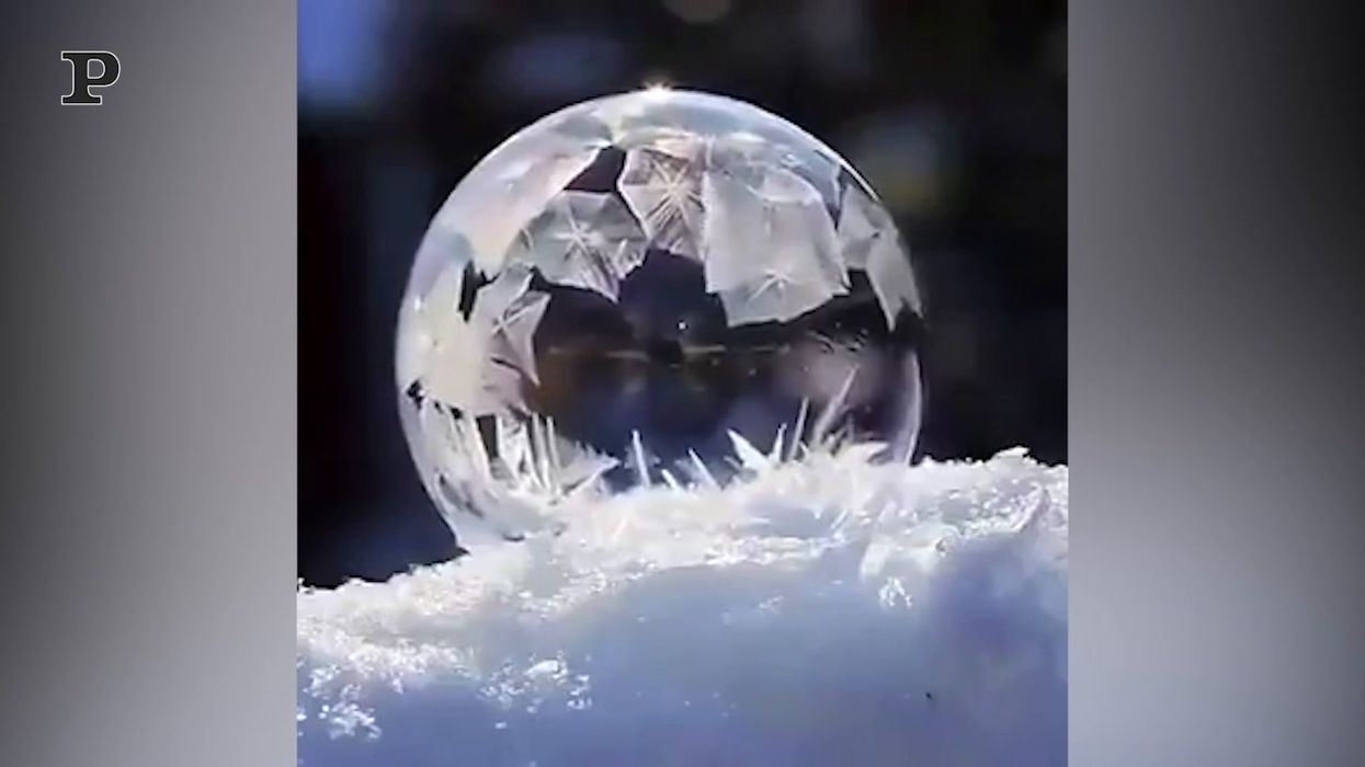 Ecco cosa succede quando una bolla si ghiaccia