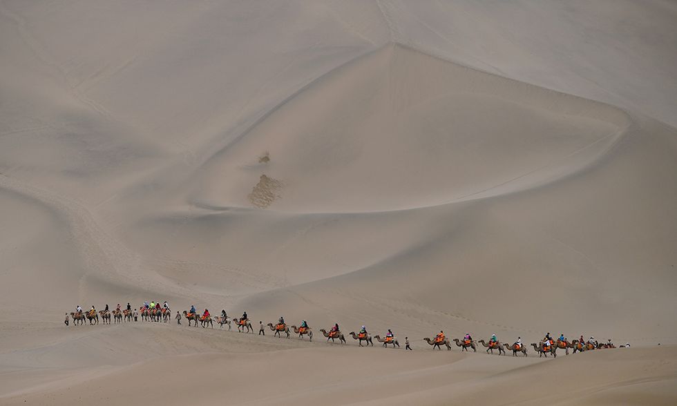 Cammelli nel deserto di Dunhuang