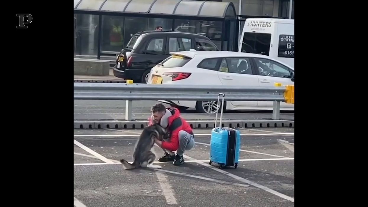 Quando il tuo cane viene ad abbracciarti in aeroporto