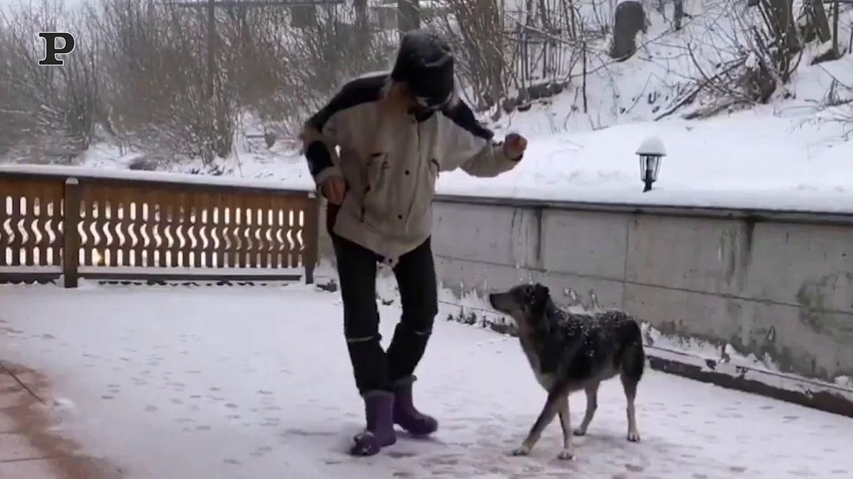 Un balletto improvvisato tra un cane e il suo padrone