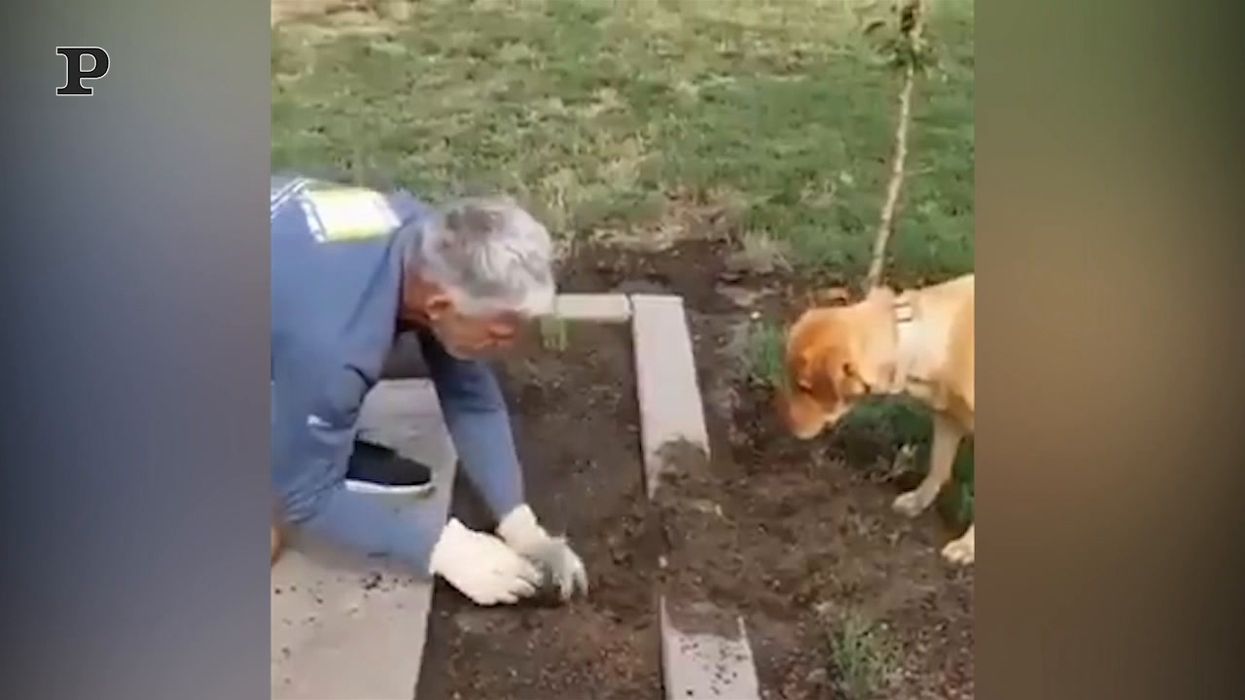 Il Cane Giardiniere aiuta il padrone