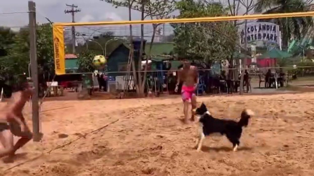Una partita di beach volley speciale | video