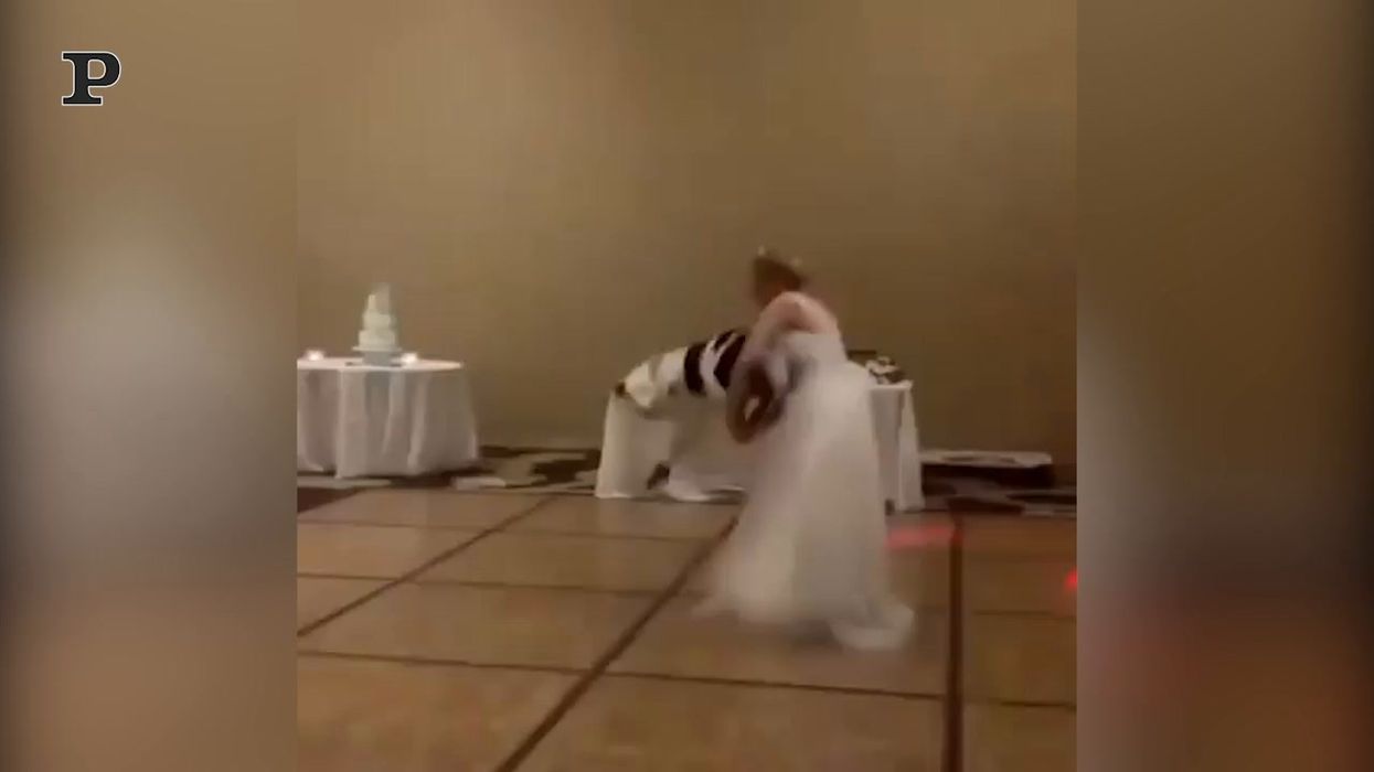 Matrimonio con ospite a quattro zampe... scatenato | video