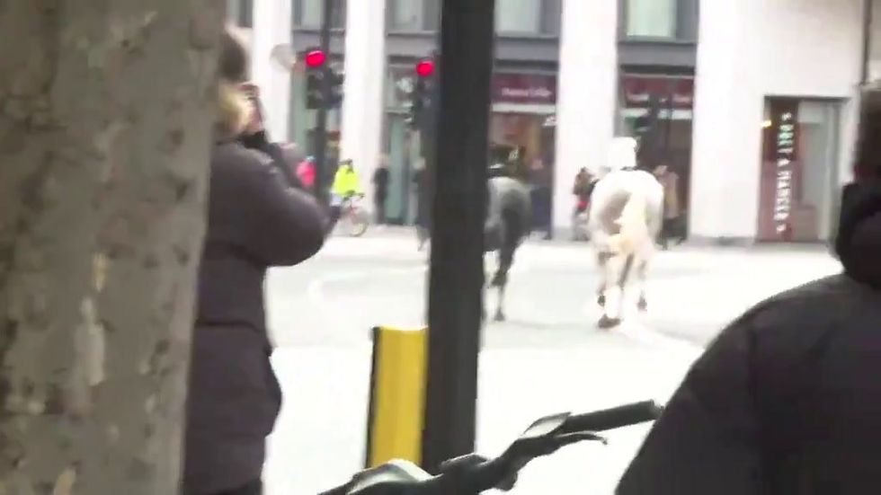 Londra, cavalli fuggono durante un'esercitazione. Cinque feriti | video