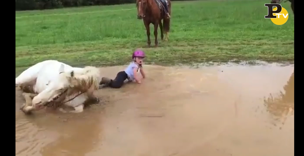 Cavallo e bambina si tuffano nel fango. Il risultato è esilarante video