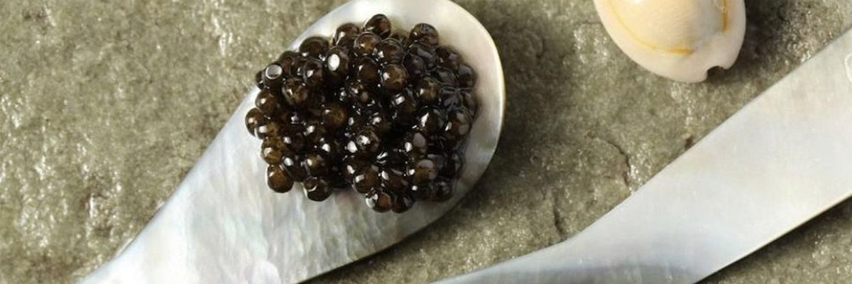 caviale caviar from milan