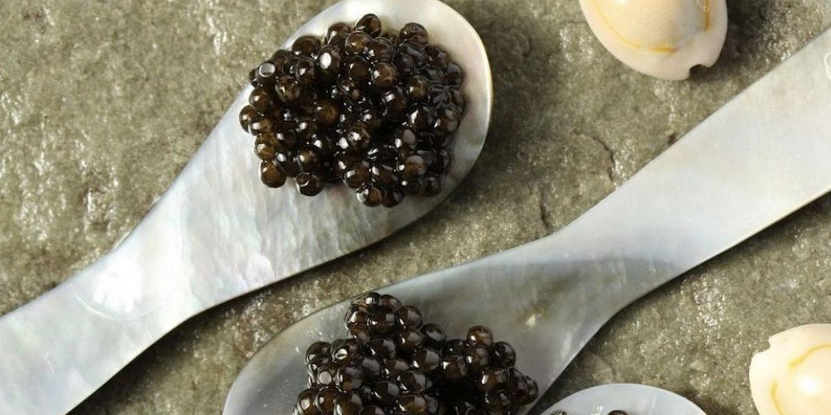 caviale caviar from milan