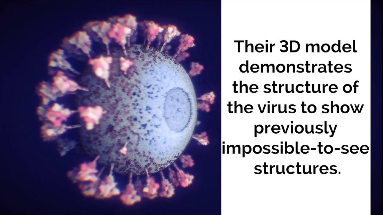Coronavirus, l'immagine 3D più dettagliata mai realizzata prima | video