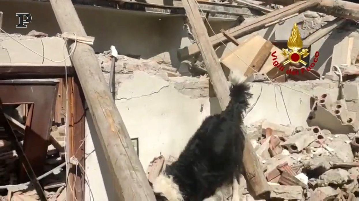 Crolla una casa a Pontremoli: ritrovato tra le macerie il corpo di un anziano | video