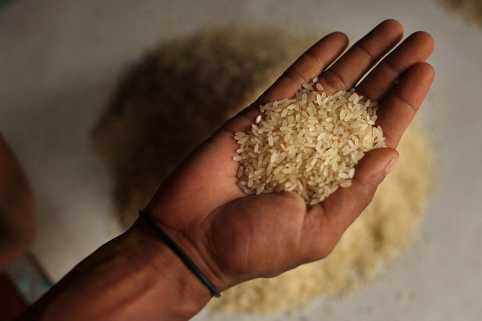 Italian Rice among Expo 2015 protagonists