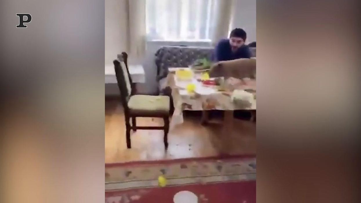 Maialino scatenato distrugge la tavola di Natale | video
