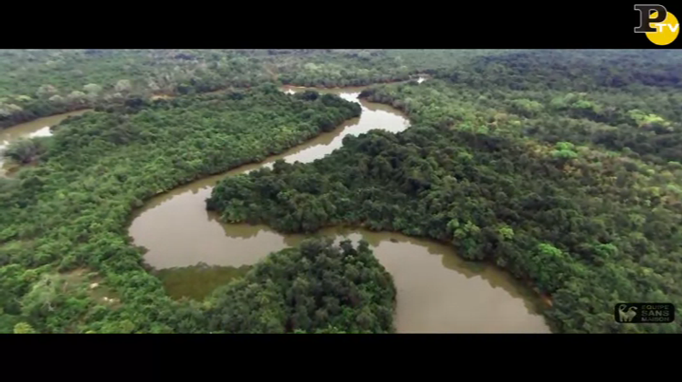 drone amazzonia