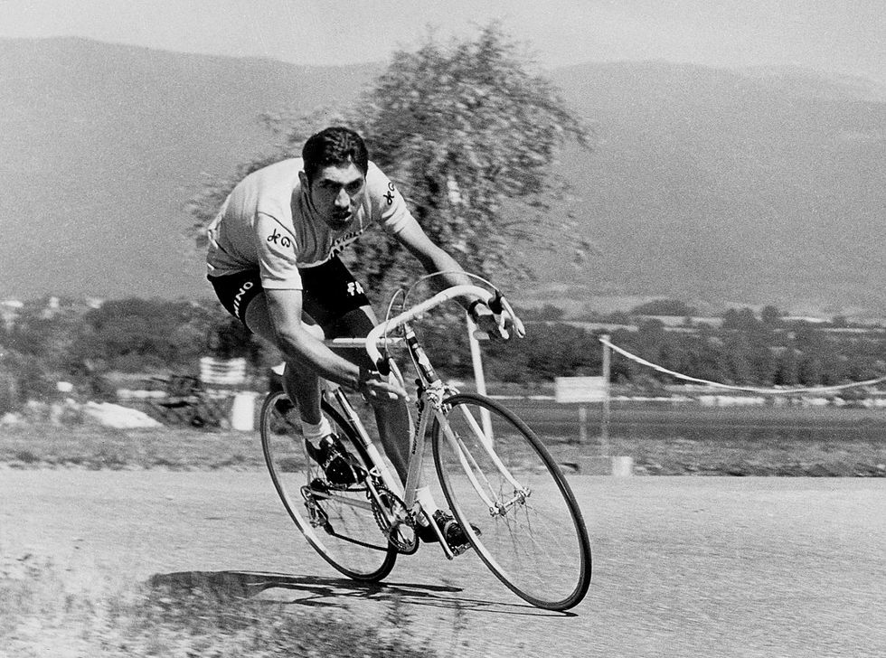 Eddy Merckx compie 70 anni. Con lui, il ciclismo è diventato leggenda: fotostory