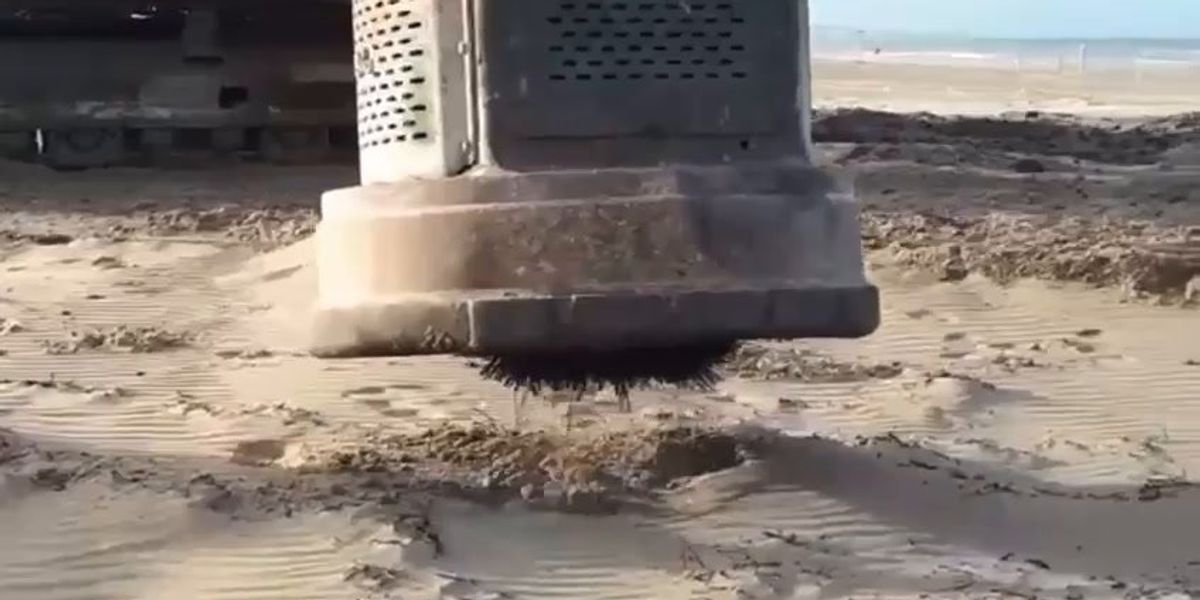 Si estraggono chiodi sulla spiaggia con un magnete idraulico | video