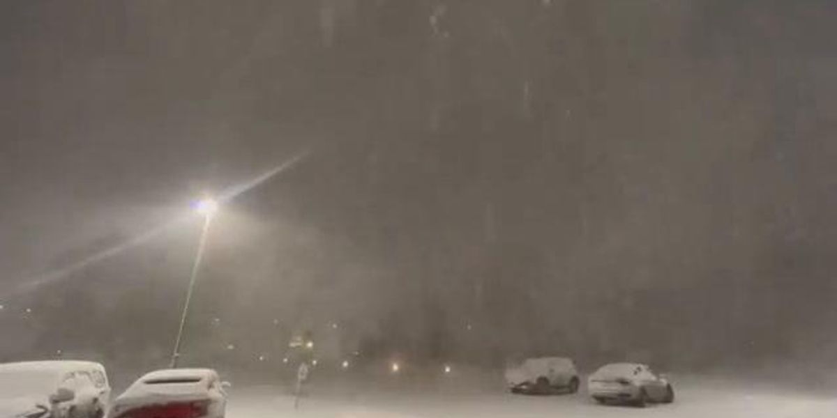 Usa, bufera di neve su New York | video
