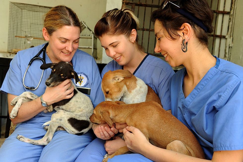 Pet Therapy at Careggi Hospital in Florence