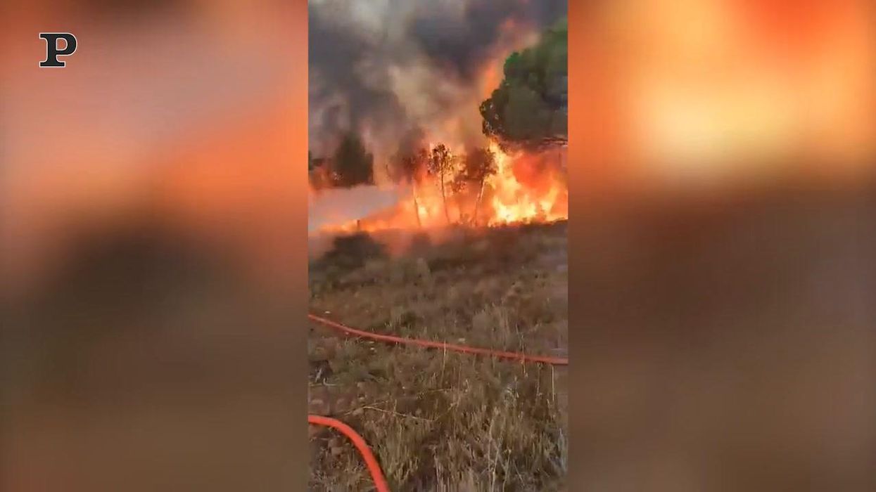 Francia, violento incendio vicino a St.Tropez | video