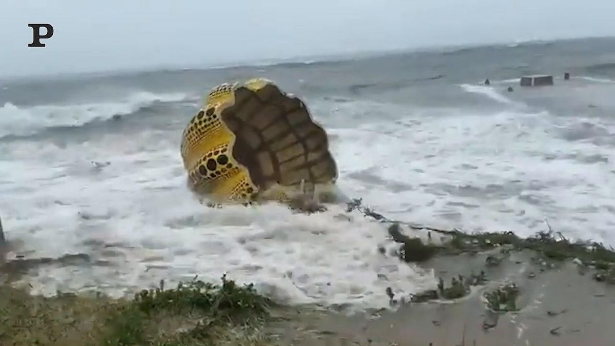 Giappone, tifone spazza via l'iconica opera d'arte di Yayoi Kusama | video