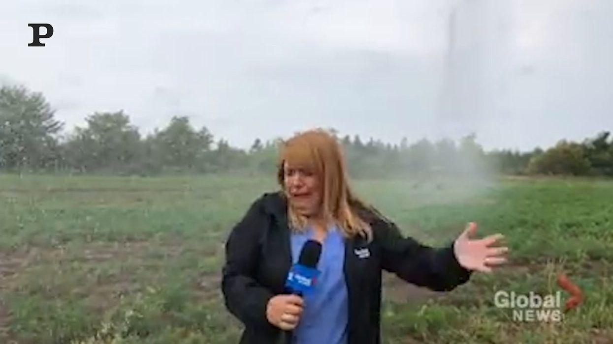 Giornalista canadese spaventata dall'irrigatore | video