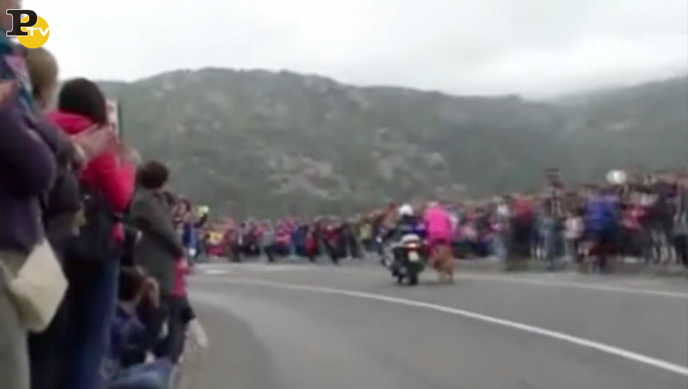 giro italia nuoro motociclista polizia cadere ciclista rosa