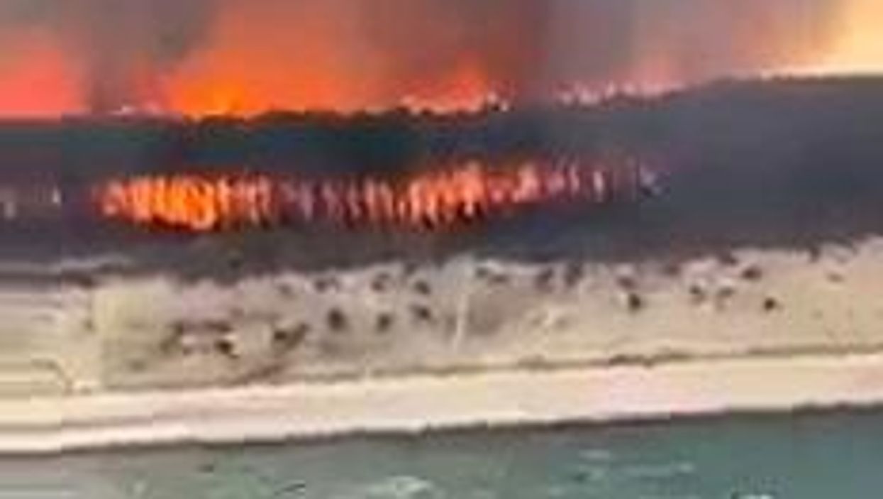 Incendio devasta la Gironda in Francia I video