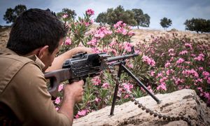 Iraq, Peshmerga curdi, addestramento