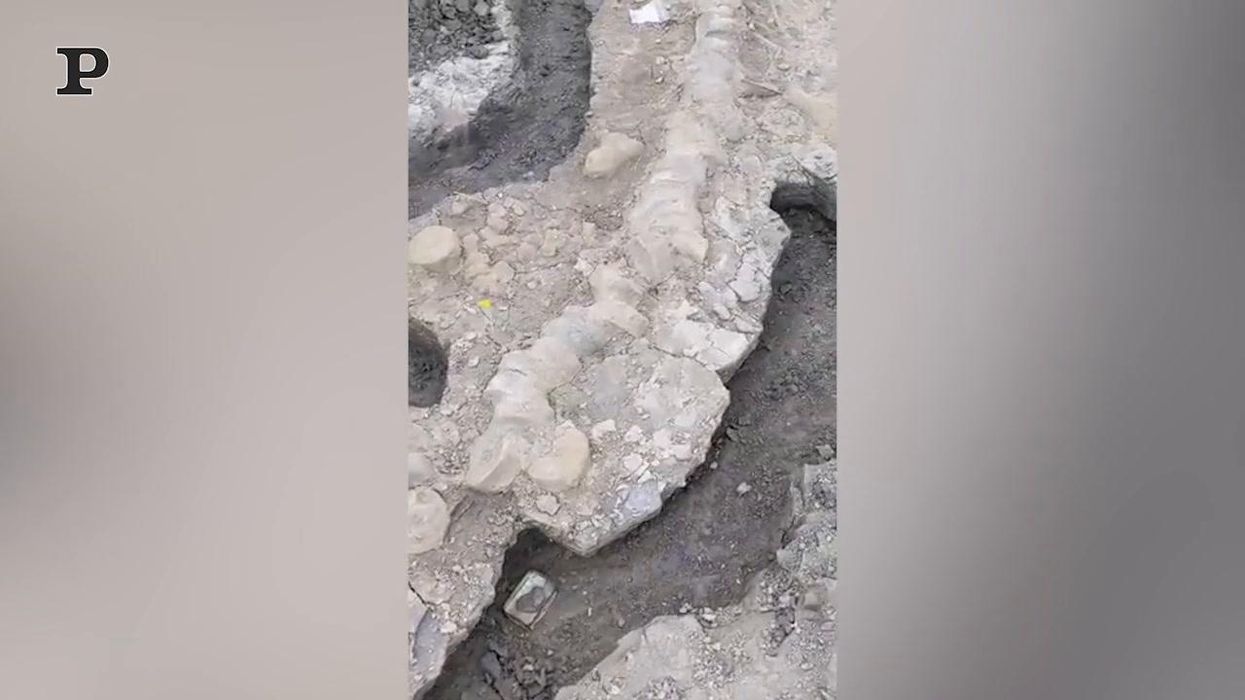 Gran Bretagna, scoperto un "Drago Marino" di 180 milioni di anni fa | Video