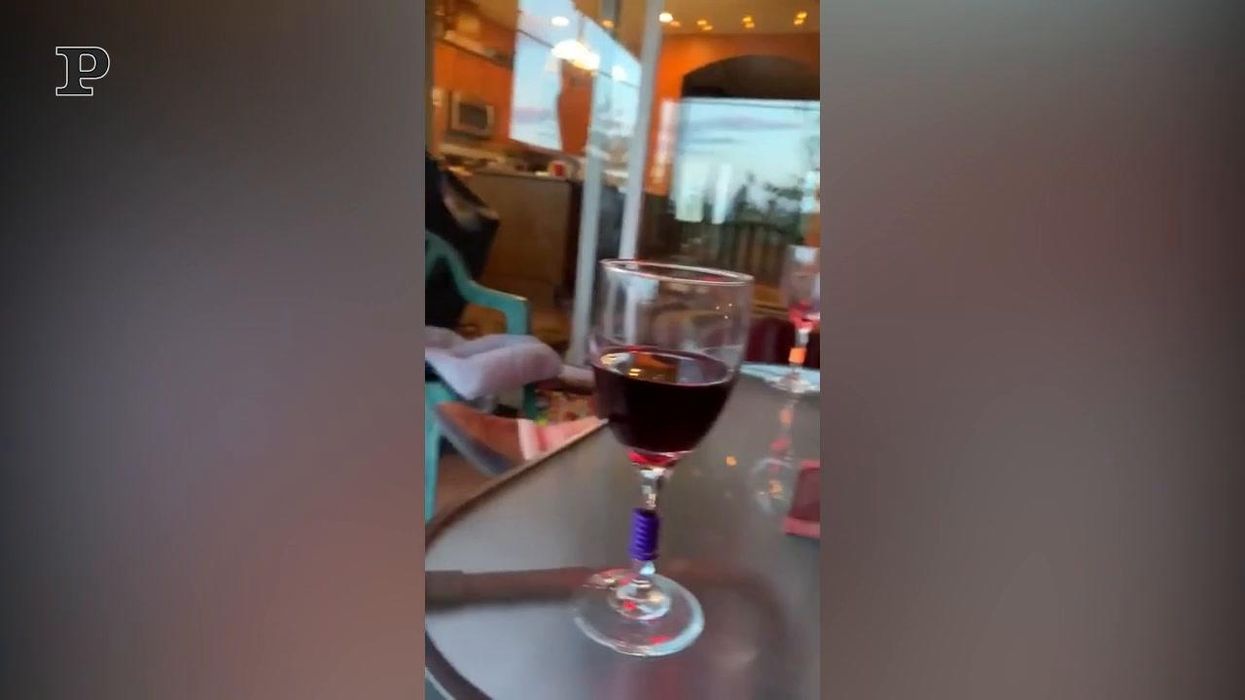 Il gatto non vuole che la padrona beva il vino | video