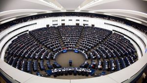 europee 2019 come funziona parlamento alleanze di maio gilet gialli