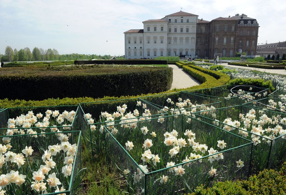Dear Minister, as soon as you can, study the case of the Reggia di Venaria