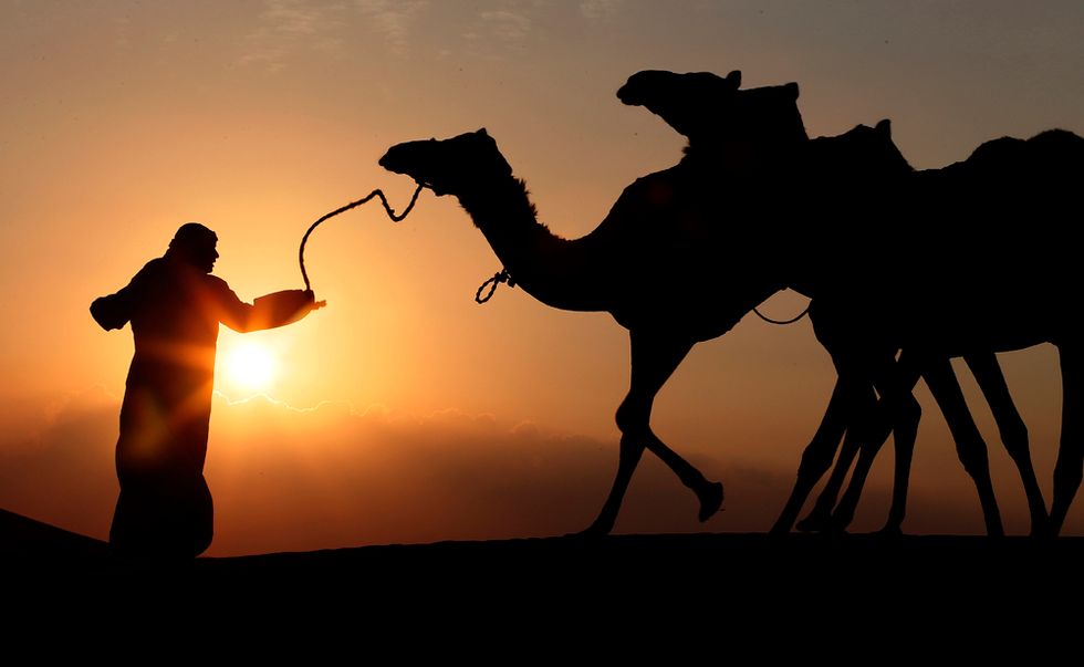 Viaggio nel deserto arabico