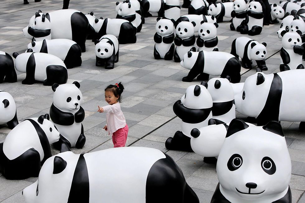 Cento panda di bambù in piazza a Shanghai