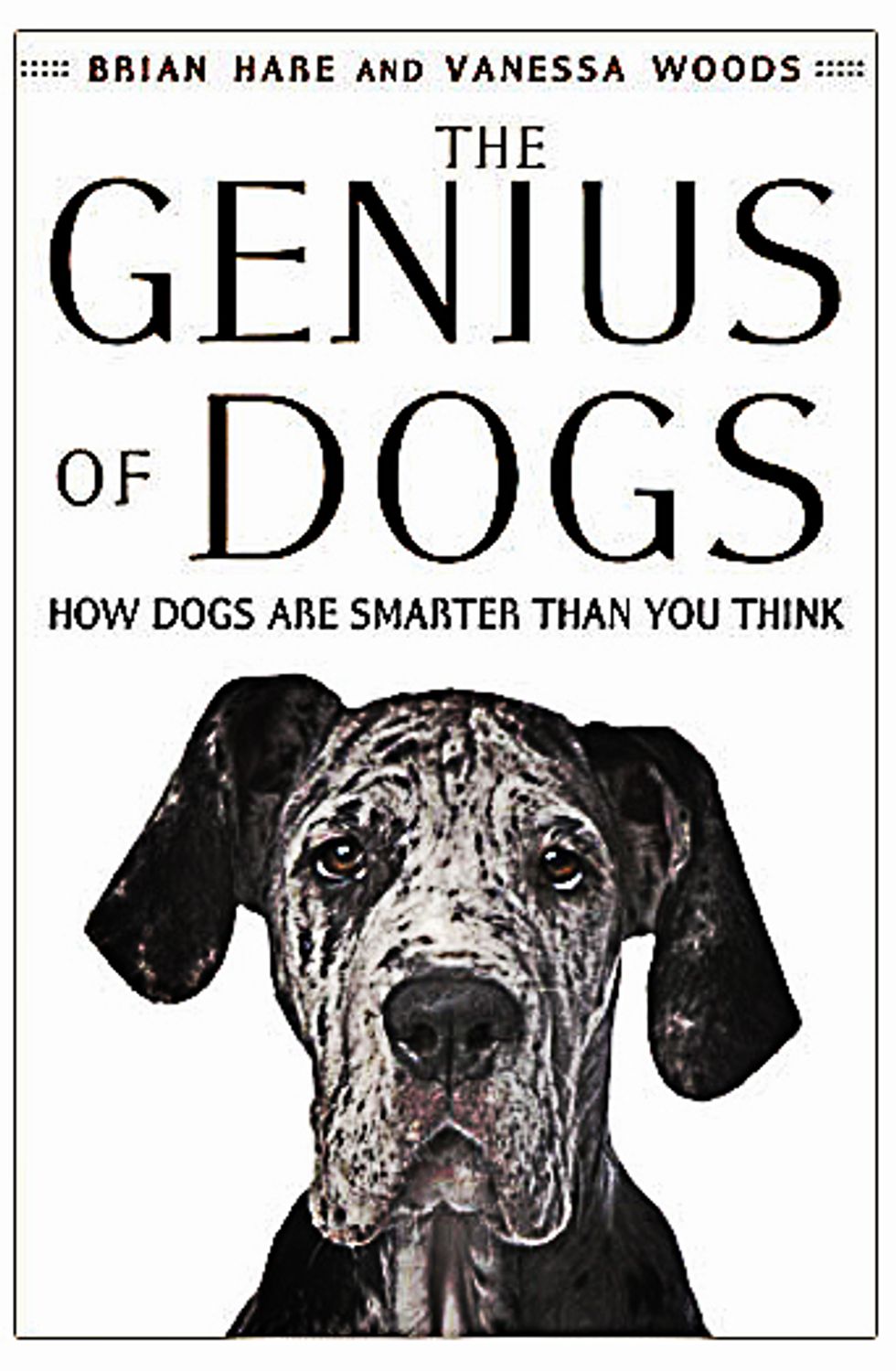 Della genialità dei cani (ovvero: gli umani non ci capiscono ma ci provano)