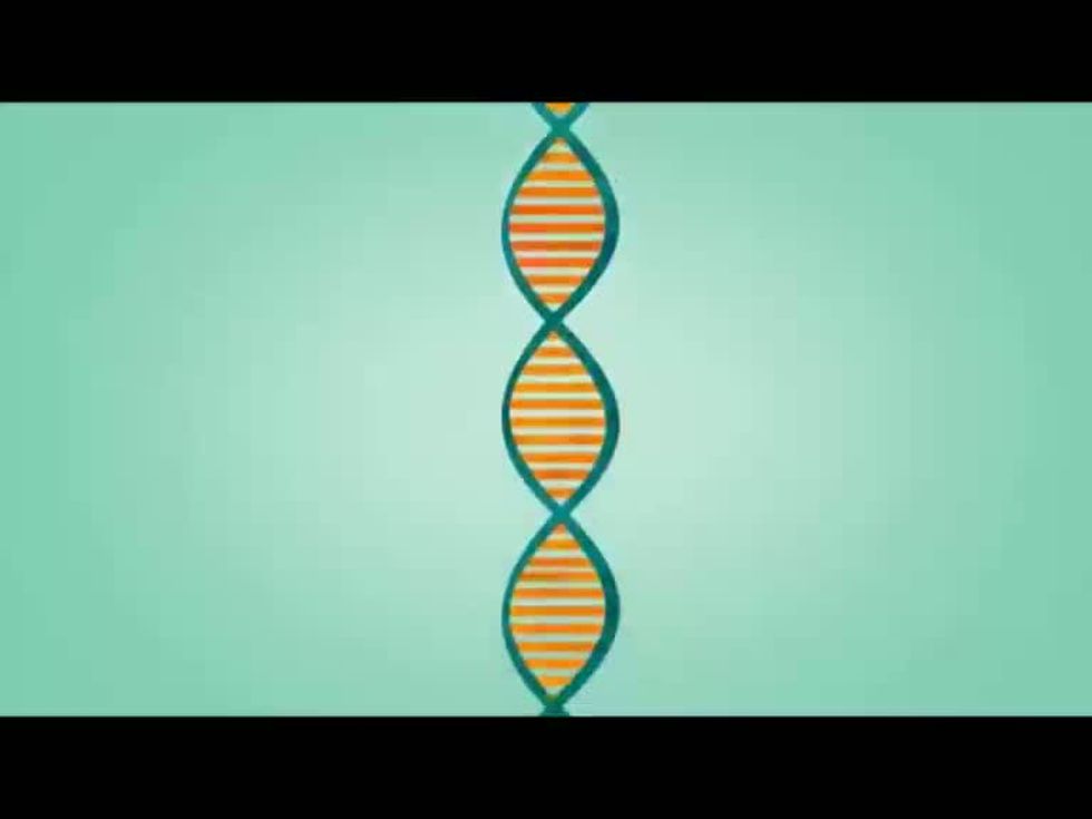 A ognuno il suo genoma