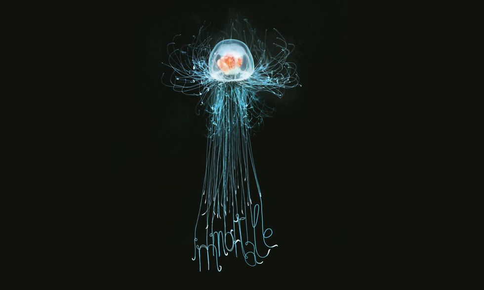 La medusa che non muore mai