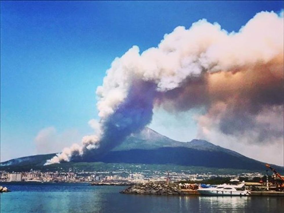 Campania, l'incendio doloso devasta il Vesuvio | Video