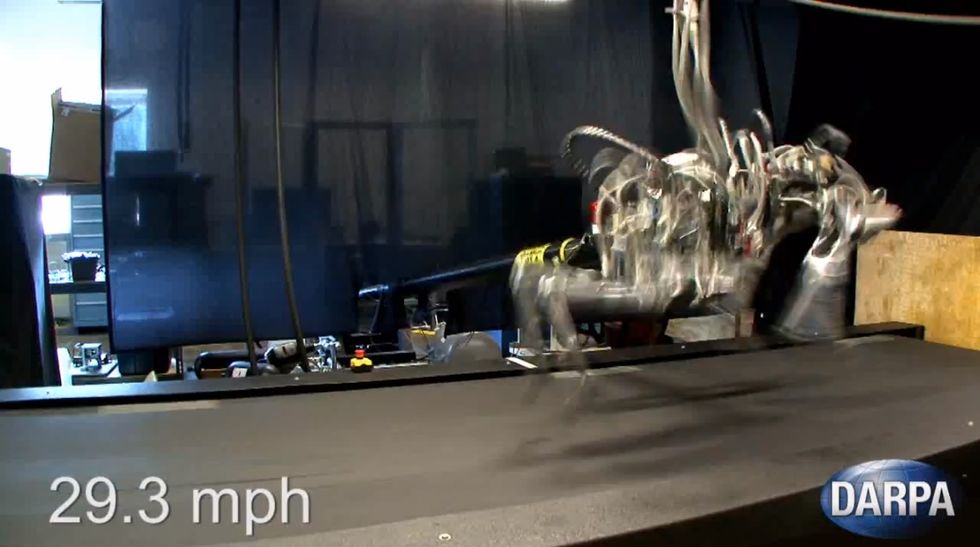 Cheetah, il robot che corre più veloce di Bolt