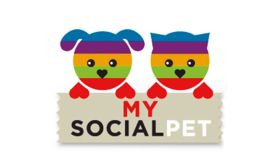 Mysocialpet, il sito per cani e gatti