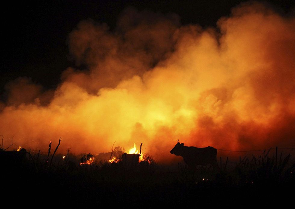 Incendio nei boschi di Cadice e altre foto del giorno, 28.08.2014