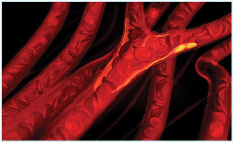 Stampa 3D oltre i confini: ecco i vasi sanguigni